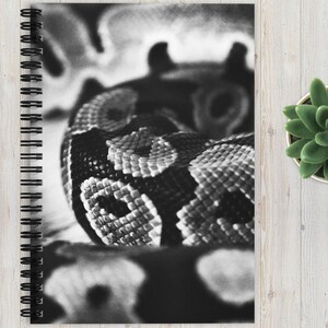 Ruled Line Spiral Notebook, Royal Ball Python, Snake Office, Black and White