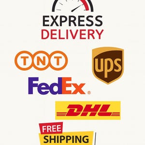 May include: Image featuring logos for express delivery services. The image includes the text "EXPRESS DELIVERY" above logos for TNT, UPS, FedEx, and DHL. A banner at the bottom reads "FREE SHIPPING".