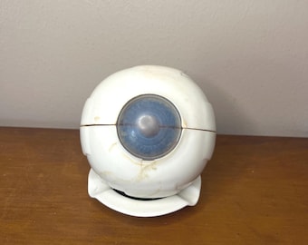 Modelo 3D anatómico del ojo humano de Merck Pharmaceutical, 1963, Gabinete de Curiosidades