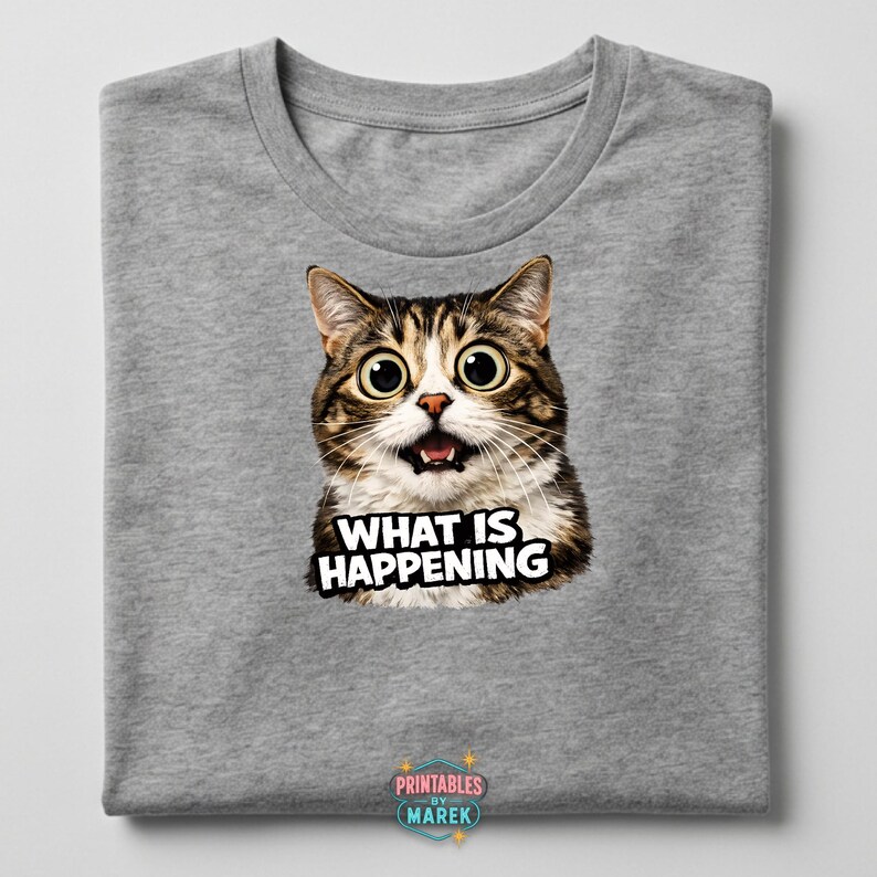 Confused Cat PNG “what is Happening” Meme Transparent 4096x4096 Funny ...