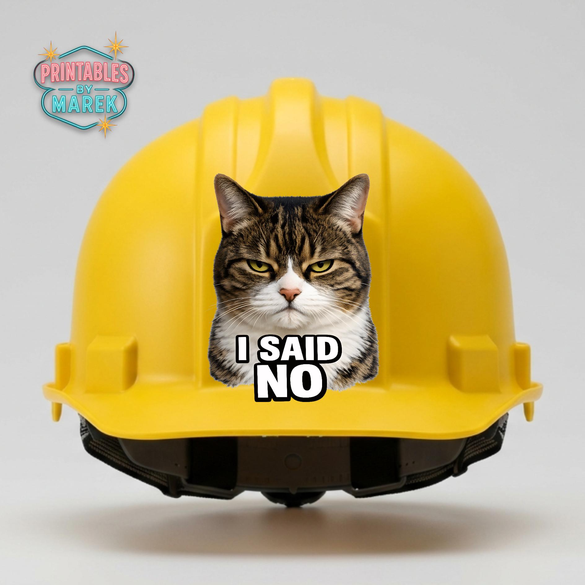Grumpy Cat PNG “I Said No” Angry Cat Meme Transparent 4096x4096 Funny ...