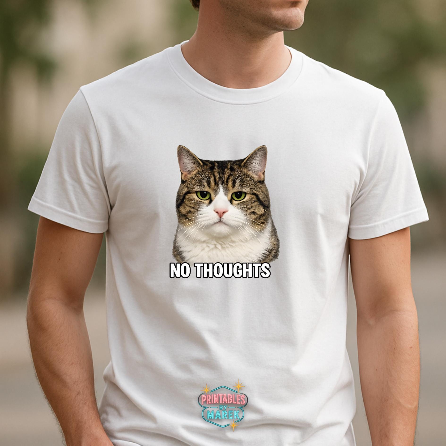 No Thoughts Cat PNG Funny Meme Cat Transparent 4096x4096 Blank Mind Cat ...