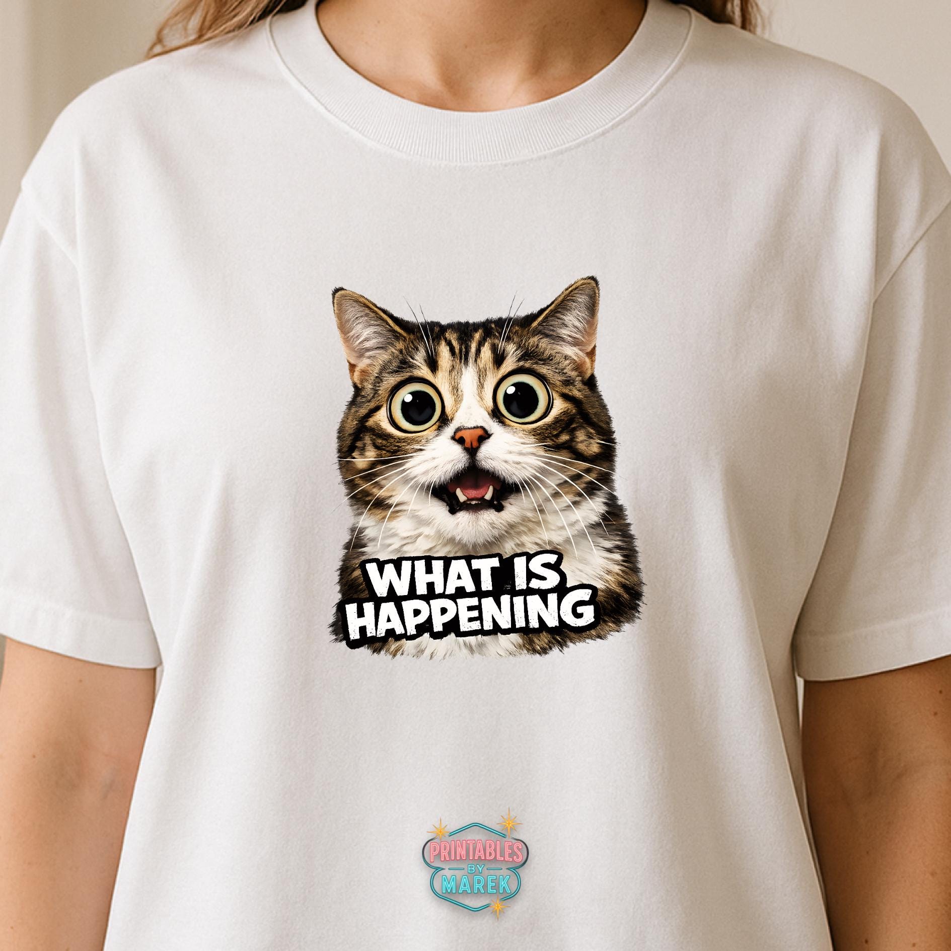 Confused Cat PNG “what is Happening” Meme Transparent 4096x4096 Funny ...