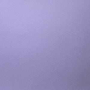 1 x Mini tablero "Ahora y Siguiente" con llavero - Apoyo visual para transiciones - Autismo, Necesidades Educativas Especiales, Ayuda para la comunicación, Personas no verbales Light Purple