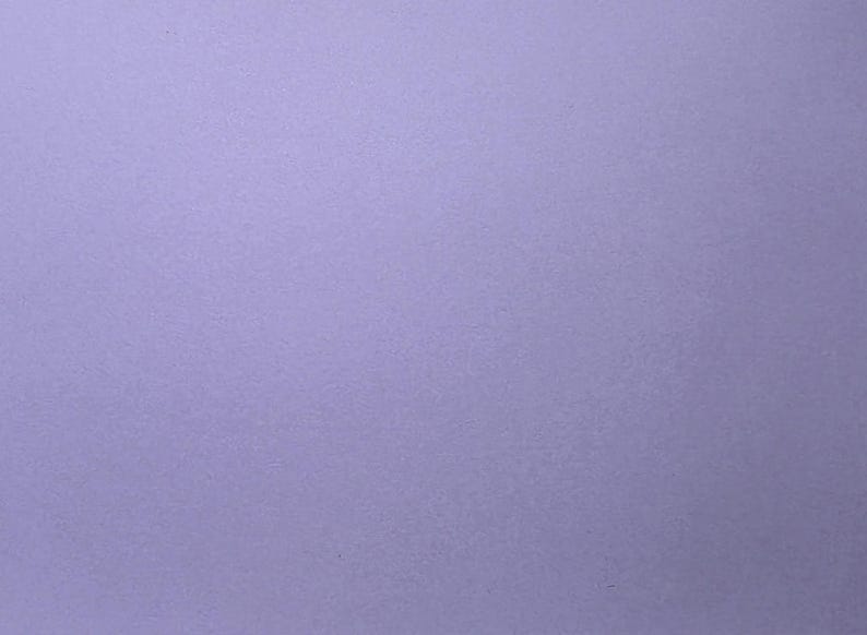 1 x Mini tablero "Ahora y Siguiente" con llavero - Apoyo visual para transiciones - Autismo, Necesidades Educativas Especiales, Ayuda para la comunicación, Personas no verbales Light Purple