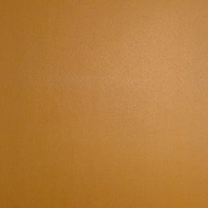 1 x Mini tablero "Ahora y Siguiente" con llavero - Apoyo visual para transiciones - Autismo, Necesidades Educativas Especiales, Ayuda para la comunicación, Personas no verbales Naranja