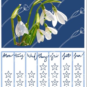 May include: A January calendar with a blue background and white floral illustrations. The word "JANUARY" is at the top. The days of the week are listed, with dates marked by stars.