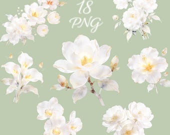 Clipart de flores brancas translúcidas em PNG, flores douradas em aquarela, pacote de design para casamento (18 PNGs)