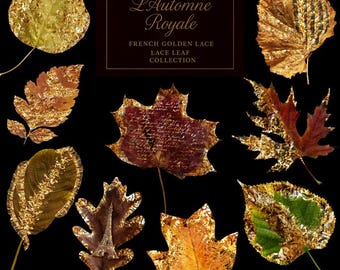 Golden Lace Leaf Clipart | Fall Botanical PNG (Digital Download)