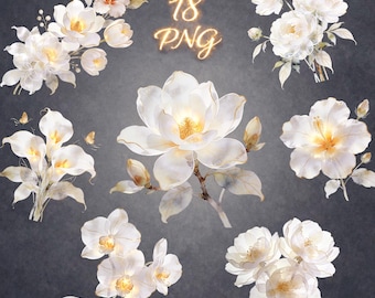 Translucent White Floral Clipart PNG, Gold Watercolor Flowers, Wedding Design Bundle (18 PNG)