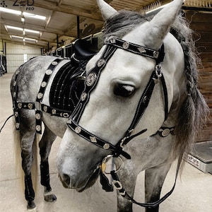 Leather Horse Bridle Set with Breast Collar: Fancy Equestrian bridle