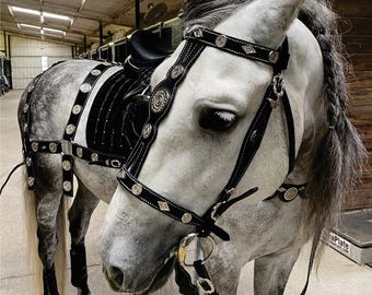 Leather Horse Bridle Set: Fancy Equestrian Breast Collar & Breeching