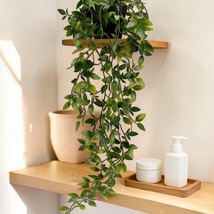 May include: A trailing green plant in a black pot sits on a wooden shelf above a lower wooden shelf holding a beige ceramic pot, a small white lidded jar, and a white pump bottle on a rectangular wooden tray against a plain wall.
