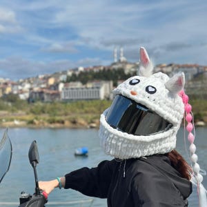Motorcycle Helmet Cover Balaclava: Bunny Mask, Wind Protection