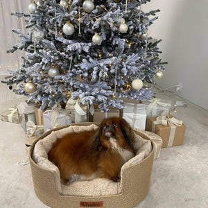 May include: A small, brown dog rests in a round, woven pet bed with a cream-colored interior. The bed sits in front of a decorated Christmas tree with ornaments and wrapped gifts. The bed has a tag that says "Charlee".