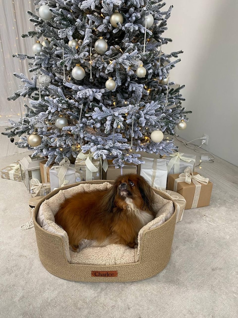 May include: A small, brown dog rests in a round, woven pet bed with a cream-colored interior. The bed sits in front of a decorated Christmas tree with ornaments and wrapped gifts. The bed has a tag that says "Charlee".