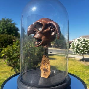 May include: A brown, carved wooden creature head with large ears and a prominent nose, displayed inside a clear glass dome on a black circular base. A small, light brown wooden tag hangs from the neck with the text Former House Elf.