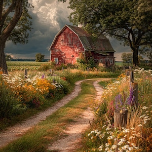 May include: A weathered red barn sits at the end of a dirt path lined with vibrant wildflowers and tall grasses. Large green trees frame the scene under a dramatic, cloudy sky, with a field visible in the distance behind the wooden structure.