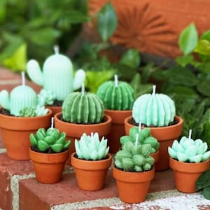 May include: A collection of cactus and succulent-shaped candles in small terracotta pots. The candles are various shades of green and have white wicks. The arrangement is set on a brick surface with green foliage in the background.