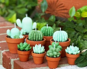 以下が含まれることがあります： 小さなテラコッタの鉢に入った、サボテンと多肉植物の形をしたキャンドルのコレクション。キャンドルはさまざまな緑色で、白い芯が付いています。レンガの表面に配置され、背景には緑の葉があります。