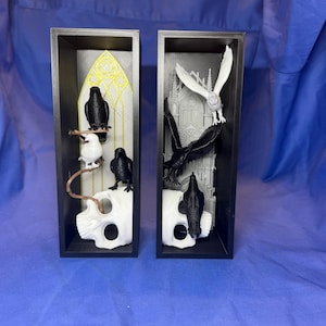 Puede incluir: Dos cajas de sombra enmarcadas con arte temático de aves. Una presenta pájaros negros posados en una rama y una calavera, la otra tiene un búho blanco y pájaros negros con un fondo de catedral gótica. Los marcos son negros.