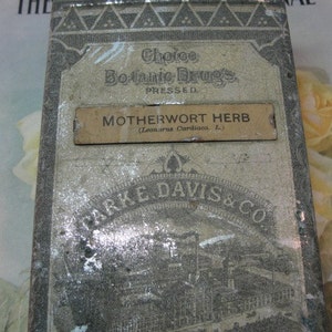 Motherwort Herb Apothecary Cannister 1900's image 2