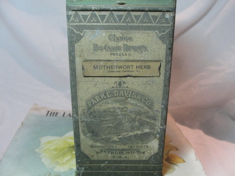 Motherwort Herb Apothecary Cannister 1900's image 1