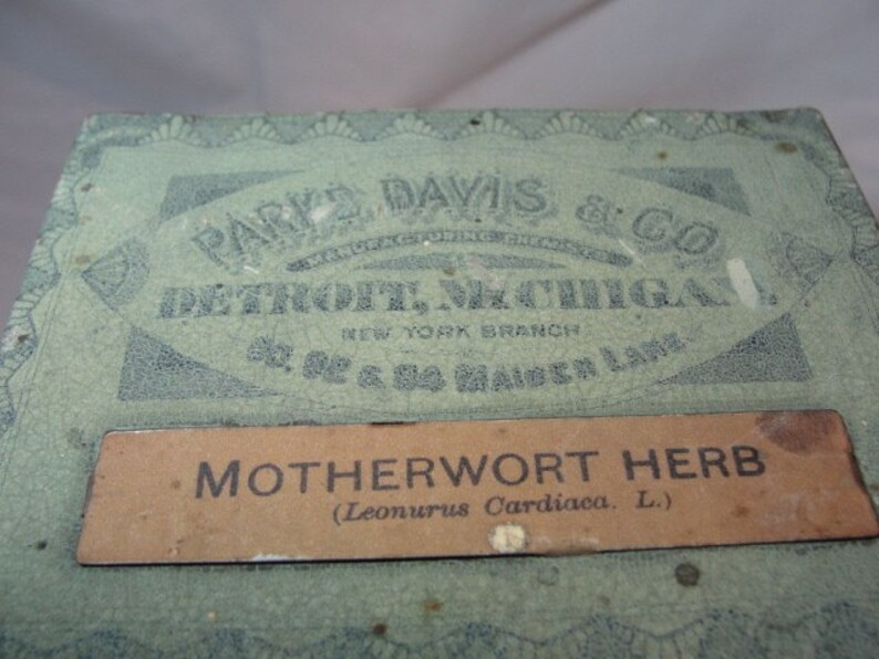 Motherwort Herb Apothecary Cannister 1900's image 3