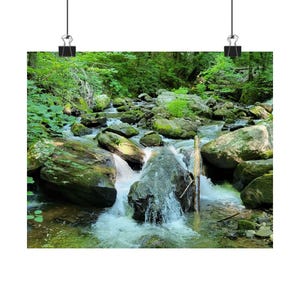 May include: A print depicting a mountain stream flowing over mossy rocks. The water courses through a verdant forest, creating a peaceful natural scene. The image is a vibrant display of nature's beauty, with lush green foliage.