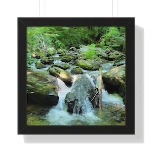 May include: A framed print featuring a scenic view of a flowing stream cascading over moss-covered rocks. The water is white and foamy, surrounded by lush green foliage. The black frame adds a modern touch to the natural landscape.