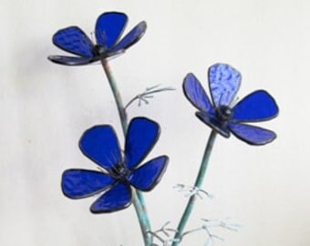 Anemone in cobalt blue stained glass