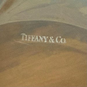 May include: Close-up of a tan surface with the white text "TIFFANY & Co." The image has a soft, blurred focus. The text is slightly faded, suggesting a vintage or worn appearance. The overall aesthetic is muted and elegant.