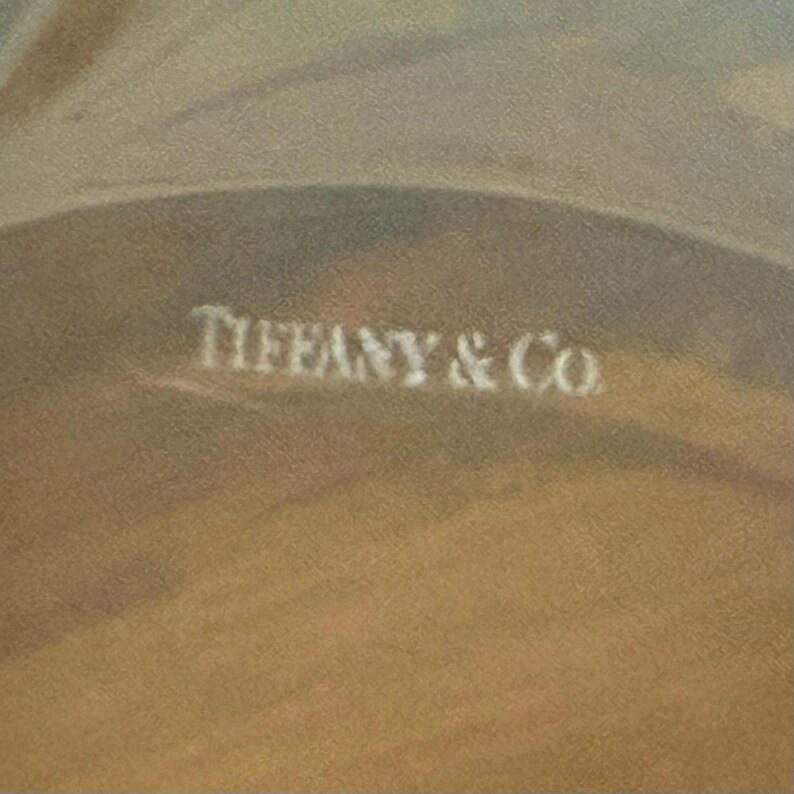 May include: Close-up of a tan surface with the white text "TIFFANY & Co." The image has a soft, blurred focus. The text is slightly faded, suggesting a vintage or worn appearance. The overall aesthetic is muted and elegant.