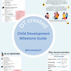 May include: A child development milestone guide with text, including "18-24 MONTHS" and "10-12 MONTHS" sections. The guide features lists of gross motor, fine motor, language, and social/emotional milestones, along with red flags. The guide also includes play-based activities.
