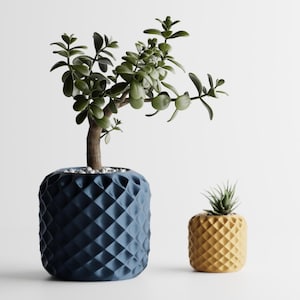 May include: Two decorative planters, one large and navy blue, the other small and yellow. The navy blue planter holds a jade plant with green leaves. The yellow planter contains a small succulent. Both planters have a diamond pattern.