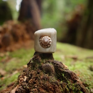 May include: A small, off-white, cube-shaped object with a carved spiral design on one side. The object is set against a blurred background of green foliage and brown wood, suggesting a natural setting.