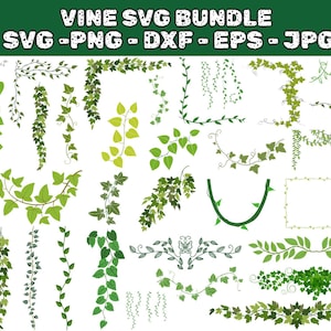 Puede incluir: Una colección de gráficos SVG de vid verde en varios estilos, incluyendo vides colgantes, diseños de esquina y bordes decorativos. La imagen incluye el texto "VINE SVG BUNDLE" e indicadores de tipo de archivo: SVG, PNG, DXF, EPS y JPG.
