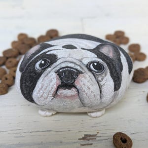 Könnte beinhalten: Ein glatter, abgerundeter Stein, der von Hand bemalt wurde, um das Gesicht einer schwarz-weißen Bulldogge darzustellen. Der Hund hat große, ausdrucksstarke dunkle Augen, eine schwarze Nase und faltige Gesichtsdetails. Der Stein ist von braunem Futter umgeben.