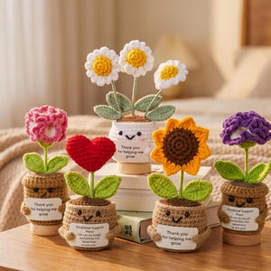 May include: Five crocheted potted plants with smiling faces. The plants include white daisies, a pink flower, a red heart, a yellow sunflower, and a purple flower. Each pot holds a white sign with the text Thank you for helping me grow or Emotional Support Plant.