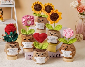 Handmade Crochet Flower Pot, Emotional Support Knitted Potted Plant, Thank You Gift for Mom, Teachers, Friends
