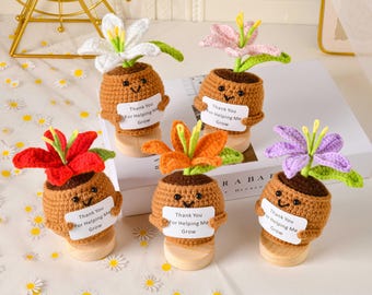 Knitted Pot Lily Flowers, Handmade Crochet Potted Flowers, Teacher Appreciation Gift