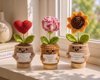 Handmade Crochet Flower Pot, Emotional Support Knitted Potted Flower, Thank You Gifts
