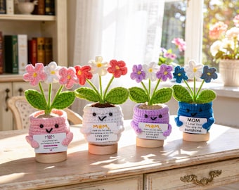 Handmade Crochet Flower Pot, Desk Decor, Eternal Blooms, Yarn Arrangement