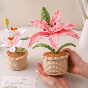 May include: Two crochet lily flowers in small pots. One lily is pink with green leaves, the other is white and pink. The pots are beige with a scalloped edge. The flowers are handmade and decorative.