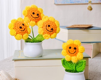 Handmade Crochet Potted Flowers, Yarn Blooms, Office Desk Decor