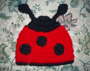 Ladybug Hat