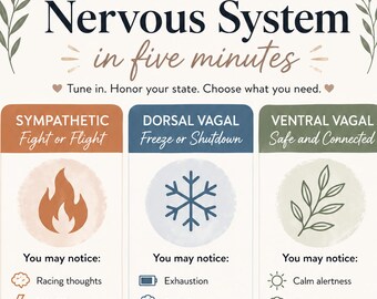5-Minute Nervous System Reset Guide