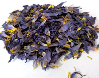 Organic Eygptian Blue Lotus Cut Petals and Stamens: Sacred Egyptian Nymphaea Caerulea Bulk Herb