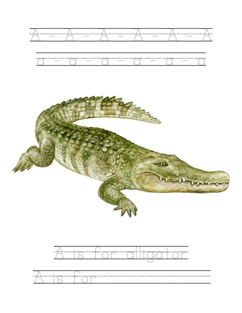 Animal Alphabet Tracing Book Printable - Etsy