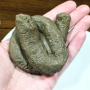 May include: A sculpted, textured, olive-green object, resembling a hand gesture, is held in a person's open palm. The object is resting on a white plate, with a wooden surface in the background.